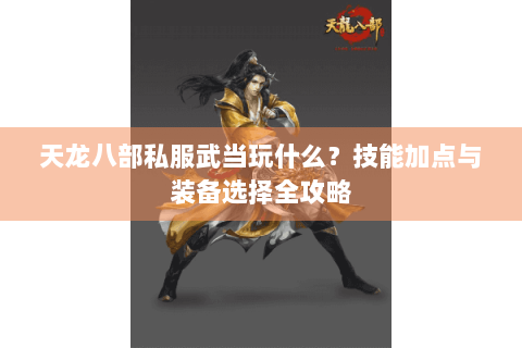 天龙八部私服武当玩什么?技能加点与装备选择全攻略 天龙八部私服武当玩什么?技能加点与装备选择全攻略