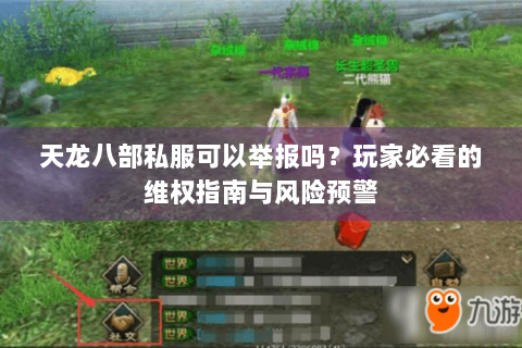 天龙八部私服可以举报吗？玩家必看的维权指南与风险预警