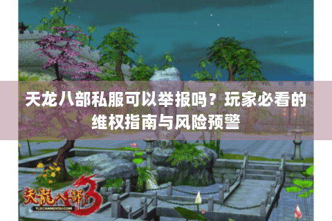 天龙八部私服可以举报吗？玩家必看的维权指南与风险预警