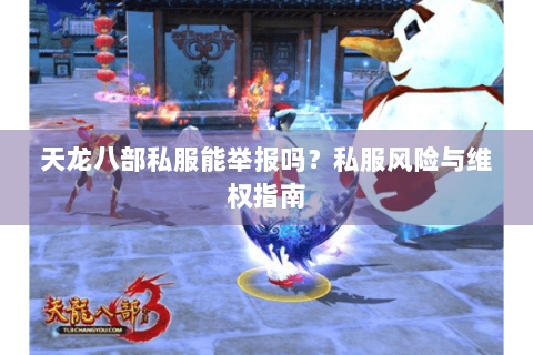 天龙八部私服能举报吗？私服风险与维权指南