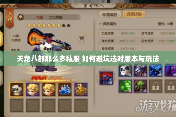 天龙八部那么多私服 如何避坑选对版本与玩法 天龙八部那么多私服 如何避坑选对版本与玩法