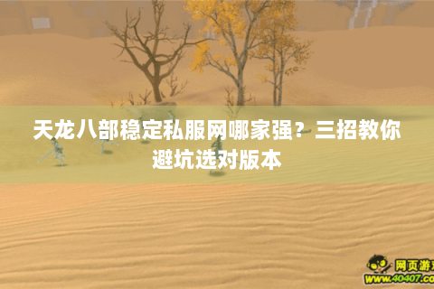 天龙八部稳定私服网哪家强？三招教你避坑选对版本
