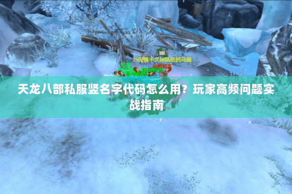 天龙八部私服竖名字代码怎么用?玩家高频问题实战指南 天龙八部私服竖名字代码怎么用?玩家高频问题实战指南