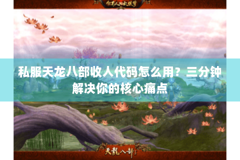 私服天龙八部收人代码怎么用？三分钟解决你的核心痛点