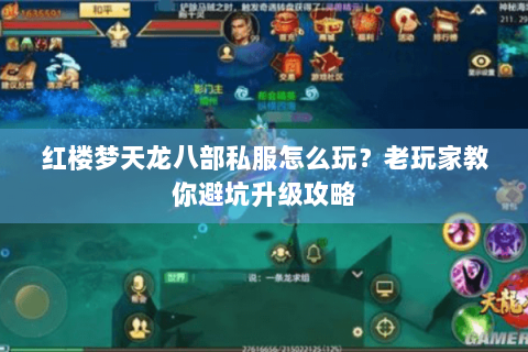 红楼梦天龙八部私服怎么玩？老玩家教你避坑升级攻略