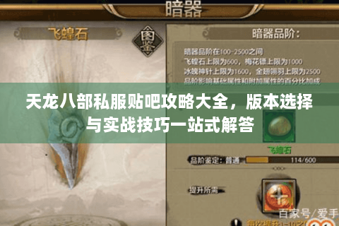 天龙八部私服贴吧攻略大全,版本选择与实战技巧一站式解答 天龙八部私服贴吧攻略大全,版本选择与实战技巧一站式解答