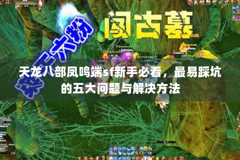天龙八部凤鸣端sf新手必看,最易踩坑的五大问题与解决方法 天龙八部凤鸣端sf新手必看,最易踩坑的五大问题与解决方法