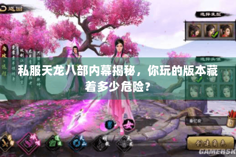 私服天龙八部内幕揭秘,你玩的版本藏着多少危险? 私服天龙八部内幕揭秘,你玩的版本藏着多少危险?