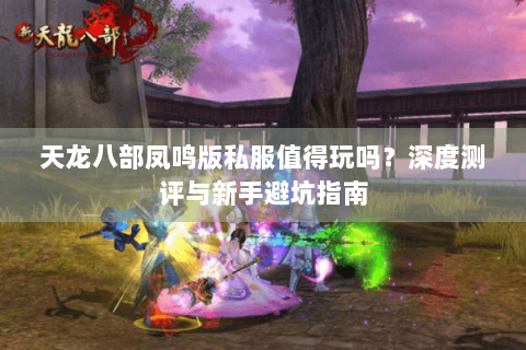 天龙八部凤鸣版私服值得玩吗？深度测评与新手避坑指南