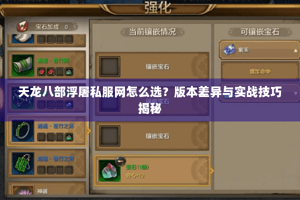 天龙八部浮屠私服网怎么选?版本差异与实战技巧揭秘 天龙八部浮屠私服网怎么选?版本差异与实战技巧揭秘