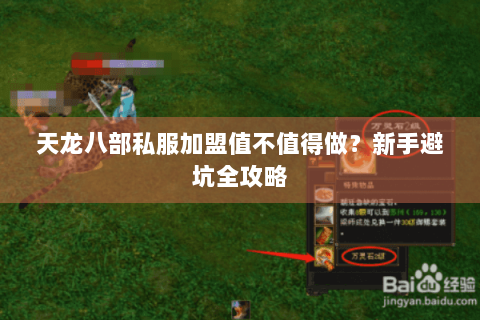 天龙八部私服加盟值不值得做？新手避坑全攻略