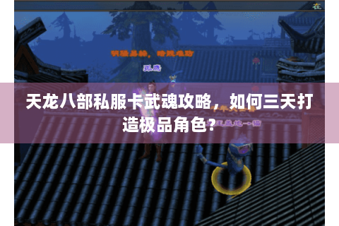 天龙八部私服卡武魂攻略，如何三天打造极品角色？
