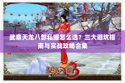 武意天龙八部私服怎么选？三大避坑指南与实战攻略合集