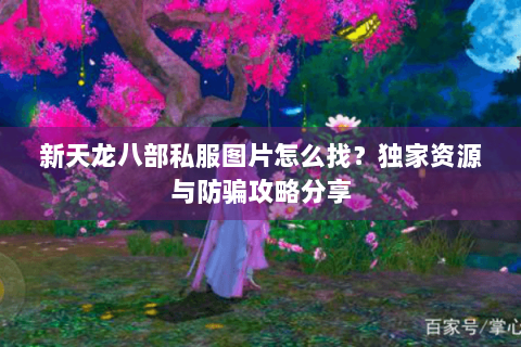 新天龙八部私服图片怎么找?独家资源与防骗攻略分享 新天龙八部私服图片怎么找?独家资源与防骗攻略分享