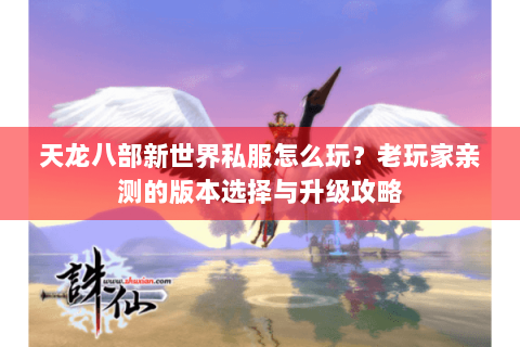 天龙八部新世界私服怎么玩？老玩家亲测的版本选择与升级攻略
