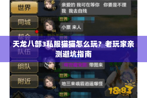 天龙八部3私服猫猫怎么玩？老玩家亲测避坑指南