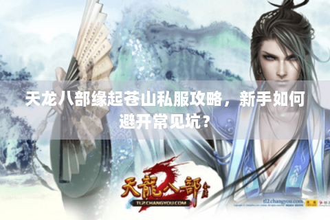 天龙八部缘起苍山私服攻略，新手如何避开常见坑？