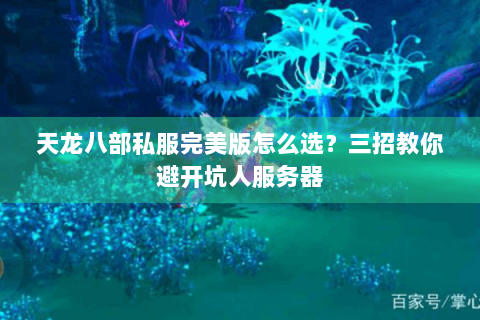 天龙八部私服完美版怎么选？三招教你避开坑人服务器
