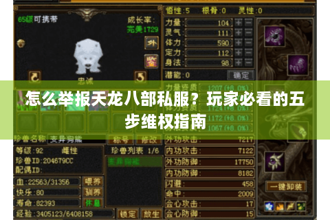怎么举报天龙八部私服?玩家必看的五步维权指南 怎么举报天龙八部私服?玩家必看的五步维权指南