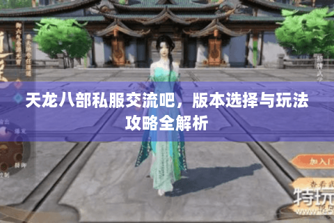 天龙八部私服交流吧，版本选择与玩法攻略全解析