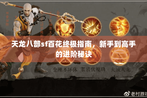 天龙八部sf百花终极指南,新手到高手的进阶秘诀 天龙八部sf百花终极指南,新手到高手的进阶秘诀