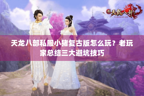 天龙八部私服小猪复古版怎么玩?老玩家总结三大避坑技巧 天龙八部私服小猪复古版怎么玩?老玩家总结三大避坑技巧