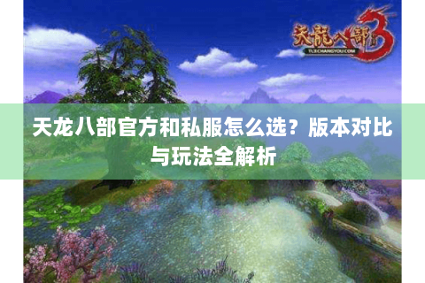 天龙八部官方和私服怎么选？版本对比与玩法全解析