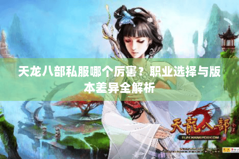 天龙八部私服哪个厉害？职业选择与版本差异全解析