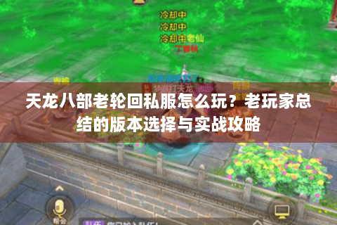 天龙八部老轮回私服怎么玩?老玩家总结的版本选择与实战攻略 天龙八部老轮回私服怎么玩?老玩家总结的版本选择与实战攻略