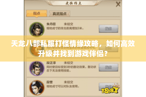 天龙八部私服打怪情缘攻略，如何高效升级并找到游戏伴侣？