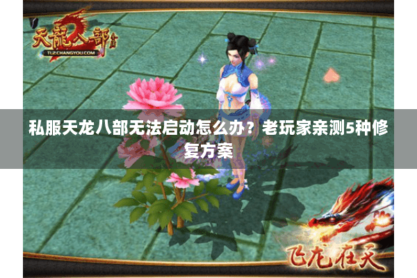 私服天龙八部无法启动怎么办?老玩家亲测5种修复方案 私服天龙八部无法启动怎么办?老玩家亲测5种修复方案