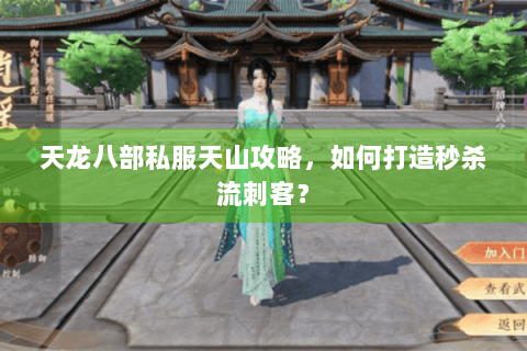 天龙八部私服天山攻略，如何打造秒杀流刺客？