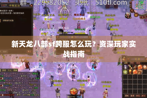 新天龙八部sf跨服怎么玩？资深玩家实战指南