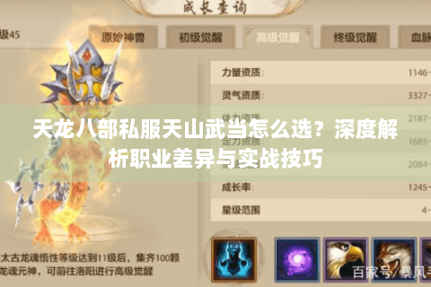 天龙八部私服天山武当怎么选?深度解析职业差异与实战技巧 天龙八部私服天山武当怎么选?深度解析职业差异与实战技巧