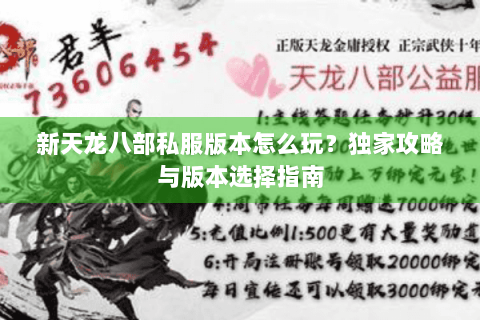新天龙八部私服版本怎么玩?独家攻略与版本选择指南 新天龙八部私服版本怎么玩?独家攻略与版本选择指南