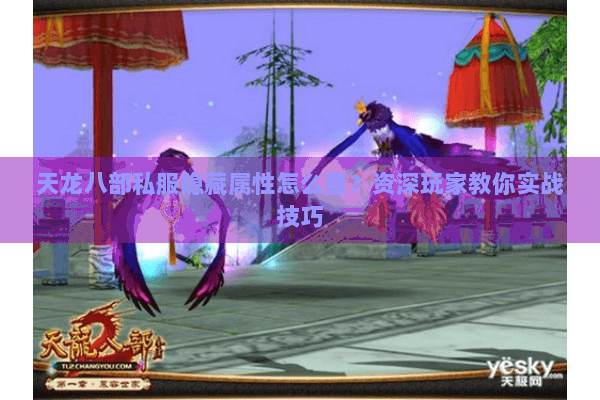 天龙八部私服隐藏属性怎么查?资深玩家教你实战技巧 天龙八部私服隐藏属性怎么查?资深玩家教你实战技巧