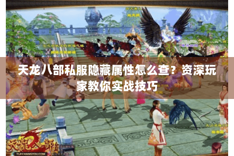 天龙八部私服隐藏属性怎么查?资深玩家教你实战技巧 天龙八部私服隐藏属性怎么查?资深玩家教你实战技巧