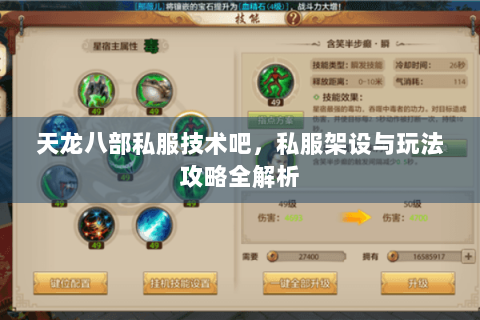 天龙八部私服技术吧,私服架设与玩法攻略全解析 天龙八部私服技术吧,私服架设与玩法攻略全解析