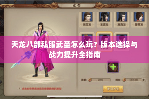 天龙八部私服武圣怎么玩?版本选择与战力提升全指南 天龙八部私服武圣怎么玩?版本选择与战力提升全指南