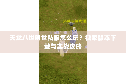 天龙八世创世私服怎么玩？独家版本下载与实战攻略