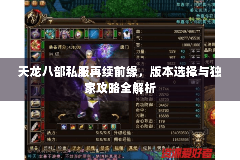 天龙八部私服再续前缘，版本选择与独家攻略全解析