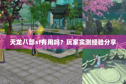 天龙八部sf有用吗?玩家实测经验分享 天龙八部sf有用吗?玩家实测经验分享