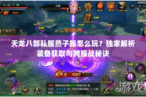 天龙八部私服燕子服怎么玩？独家解析装备获取与跨服战秘诀