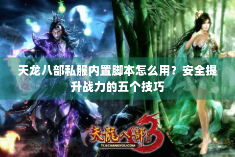 天龙八部私服内置脚本怎么用?安全提升战力的五个技巧 天龙八部私服内置脚本怎么用?安全提升战力的五个技巧