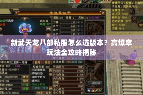 新武天龙八部私服怎么选版本？高爆率玩法全攻略揭秘