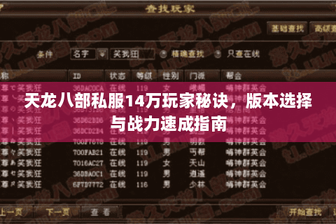天龙八部私服14万玩家秘诀，版本选择与战力速成指南