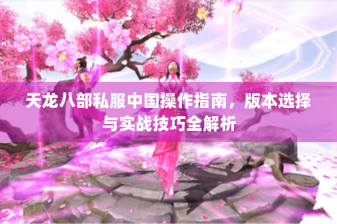 天龙八部私服中国操作指南，版本选择与实战技巧全解析