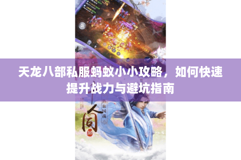 天龙八部私服蚂蚁小小攻略，如何快速提升战力与避坑指南