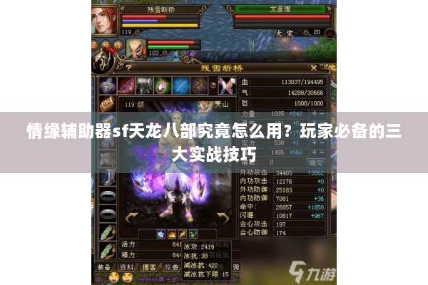 情缘辅助器sf天龙八部究竟怎么用？玩家必备的三大实战技巧