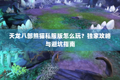 天龙八部熊猫私服版怎么玩?独家攻略与避坑指南 天龙八部熊猫私服版怎么玩?独家攻略与避坑指南
